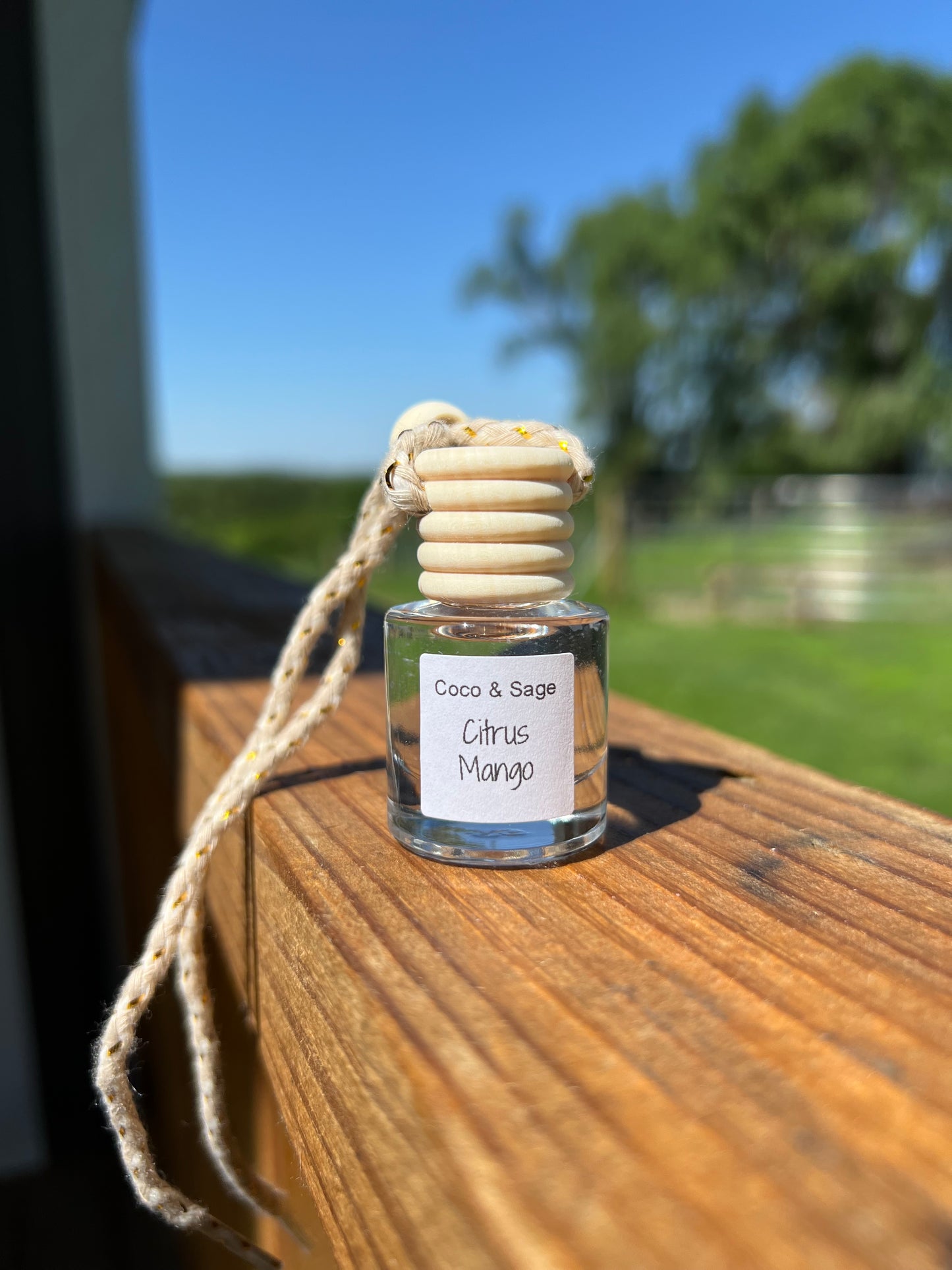 Citrus Mango Car Diffuser